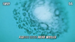 1분만_생명 탄생의 비밀